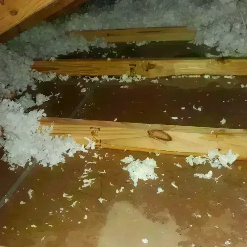 Attic Water Damage in Whitley County, IN